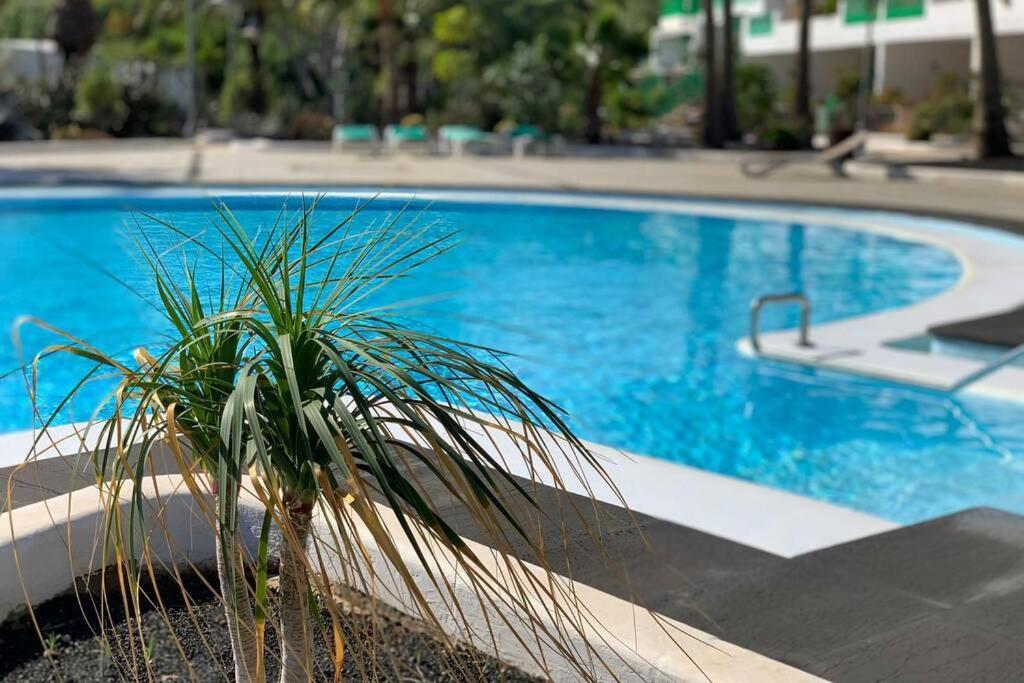 Apartamento Bastian Casas Verdes Costa Teguise Zewnętrze zdjęcie