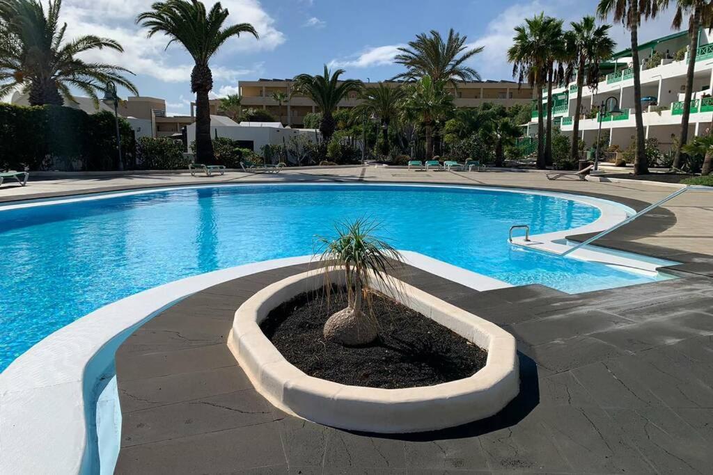 Apartamento Bastian Casas Verdes Costa Teguise Zewnętrze zdjęcie
